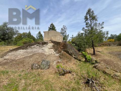 Quinta  Venda em Freixial e Juncal do Campo,Castelo Branco