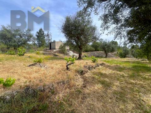 Quinta  Venda em Freixial e Juncal do Campo,Castelo Branco