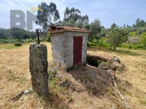 Quinta  Venda em Freixial e Juncal do Campo,Castelo Branco