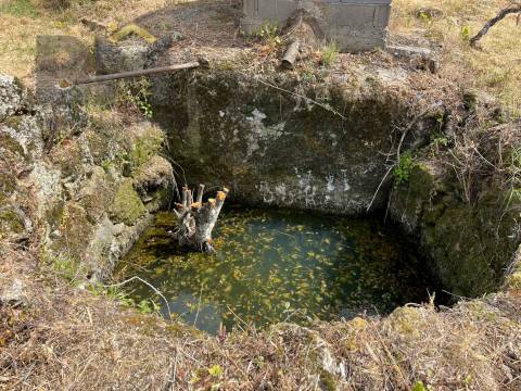 Quinta  Venda em Freixial e Juncal do Campo,Castelo Branco