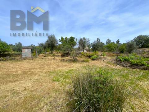 Quinta  Venda em Freixial e Juncal do Campo,Castelo Branco