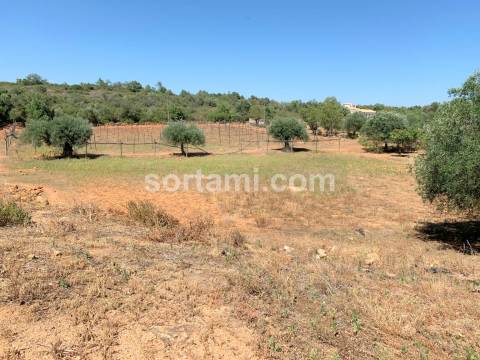 Terreno Para Construção  Venda em Pechão,Olhão