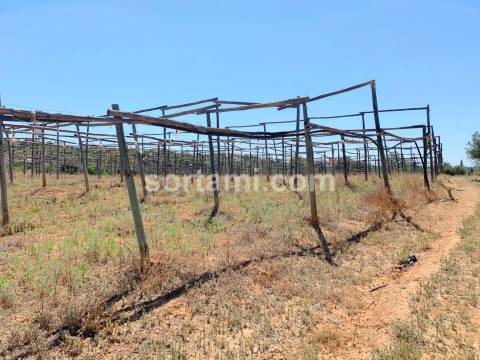 Terreno Para Construção  Venda em Pechão,Olhão