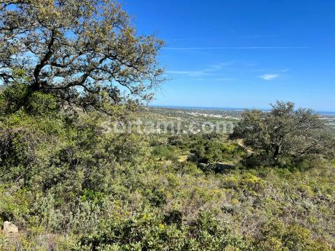 Terreno Rústico  Venda em Conceição e Estoi,Faro