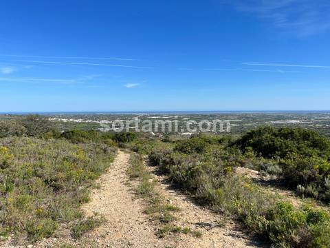 Terreno Rústico  Venda em Conceição e Estoi,Faro