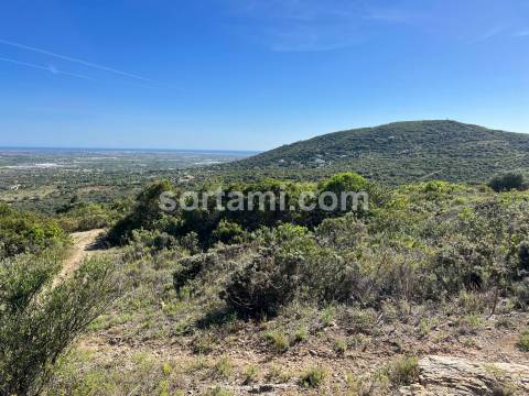 Terreno Rústico  Venda em Conceição e Estoi,Faro