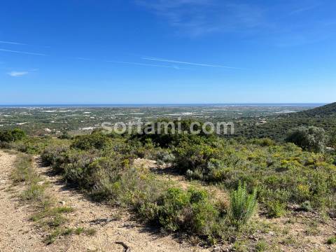 Terreno Rústico  Venda em Conceição e Estoi,Faro