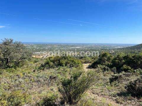Terreno Rústico  Venda em Conceição e Estoi,Faro