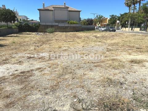 Terreno Para Construção  Venda em Montenegro,Faro
