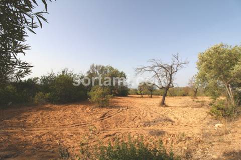 Terreno Rústico  Venda em Loulé (São Sebastião),Loulé