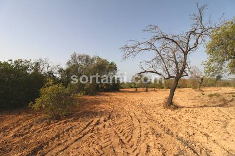 Terreno Rústico  Venda em Loulé (São Sebastião),Loulé