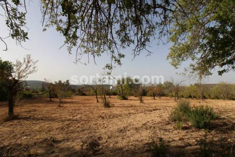 Terreno Rústico  Venda em Loulé (São Sebastião),Loulé