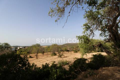 Terreno Rústico  Venda em Loulé (São Sebastião),Loulé
