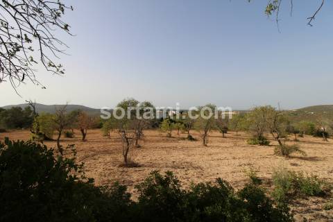 Terreno Rústico  Venda em Loulé (São Sebastião),Loulé