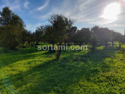 Moradia Isolada T2 Venda em Santa Bárbara de Nexe,Faro