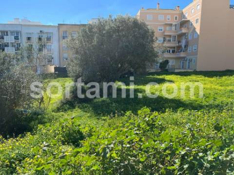 Terreno Para Construção  Venda em Almancil,Loulé