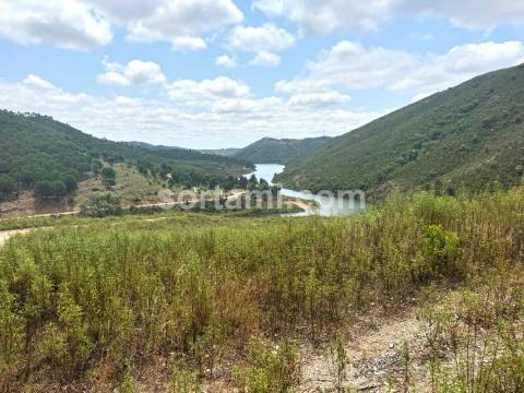 Terreno Para Construção  Venda em São Bartolomeu de Messines,Silves
