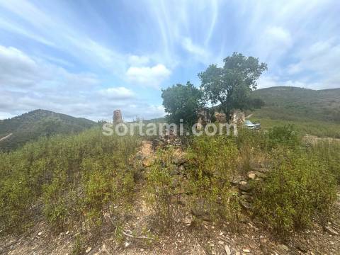 Terreno Para Construção  Venda em São Bartolomeu de Messines,Silves