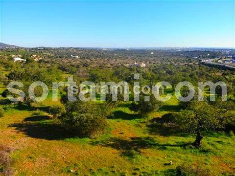 Terreno Para Construção  Venda em Santa Bárbara de Nexe,Faro