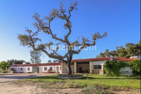 Herdade  Venda em Montargil,Ponte de Sor
