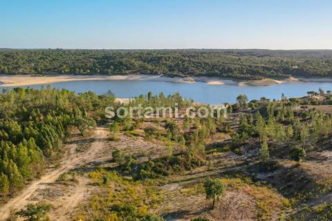 Herdade  Venda em Montargil,Ponte de Sor