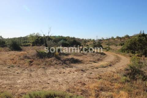 Terreno Rústico  Venda em Paderne,Albufeira