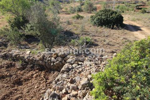Terreno Rústico  Venda em Paderne,Albufeira