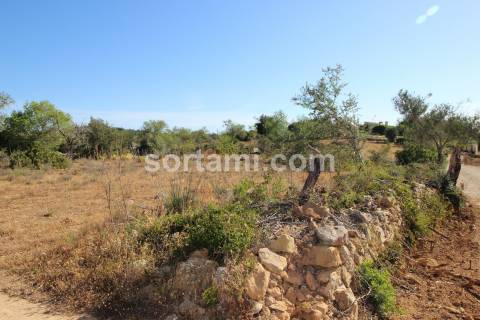 Terreno Rústico  Venda em Paderne,Albufeira