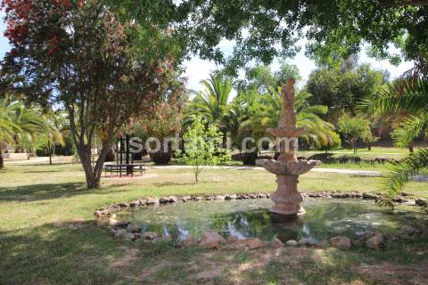 Moradia Isolada T3 Venda em Estômbar e Parchal,Lagoa (Algarve)