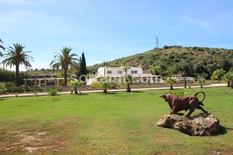 Moradia Isolada T3 Venda em Estômbar e Parchal,Lagoa (Algarve)