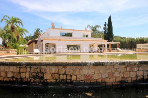 Moradia Isolada T3 Venda em Estômbar e Parchal,Lagoa (Algarve)