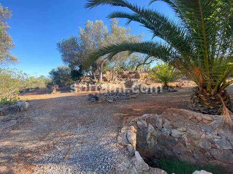 Moradia Isolada T4 Venda em Tavira (Santa Maria e Santiago),Tavira