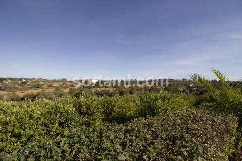 Moradia Isolada T3 Venda em Alcantarilha e Pêra,Silves