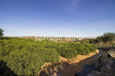 Moradia Isolada T3 Venda em Alcantarilha e Pêra,Silves