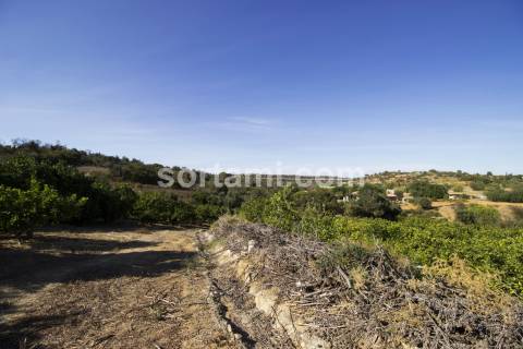 Moradia Isolada T3 Venda em Alcantarilha e Pêra,Silves