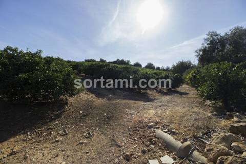 Moradia Isolada T3 Venda em Alcantarilha e Pêra,Silves