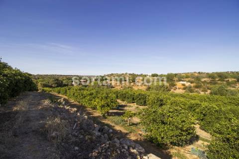 Moradia Isolada T3 Venda em Alcantarilha e Pêra,Silves