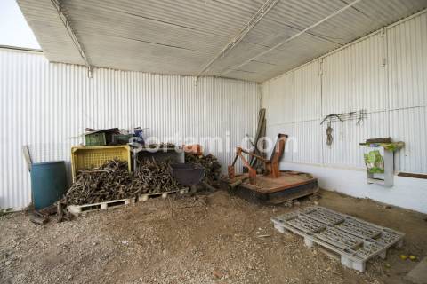 Moradia Isolada T3 Venda em Alcantarilha e Pêra,Silves