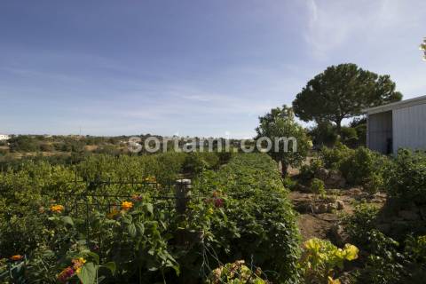Moradia Isolada T3 Venda em Alcantarilha e Pêra,Silves