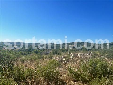 Terreno Rústico  Venda em Santa Bárbara de Nexe,Faro