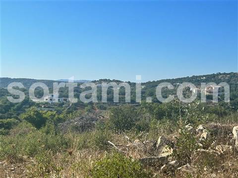 Terreno Rústico  Venda em Santa Bárbara de Nexe,Faro
