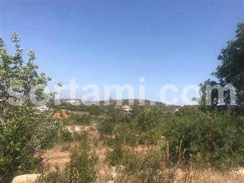 Terreno Rústico  Venda em Santa Bárbara de Nexe,Faro