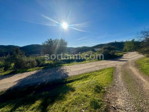 Moradia Isolada T3 Venda em São Bartolomeu de Messines,Silves