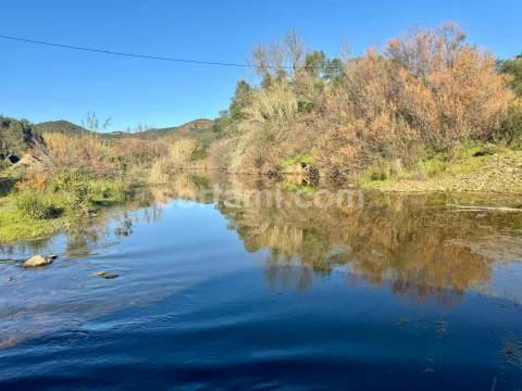 Moradia Isolada T3 Venda em São Bartolomeu de Messines,Silves