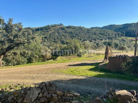 Moradia Isolada T3 Venda em São Bartolomeu de Messines,Silves