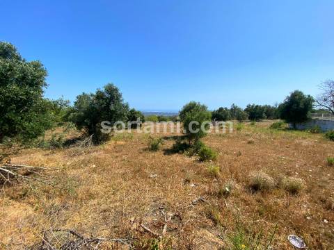Terreno Para Construção  Venda em Loulé (São Sebastião),Loulé