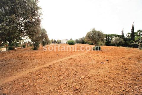 Moradia Devoluta T3 Venda em Lagoa e Carvoeiro,Lagoa (Algarve)