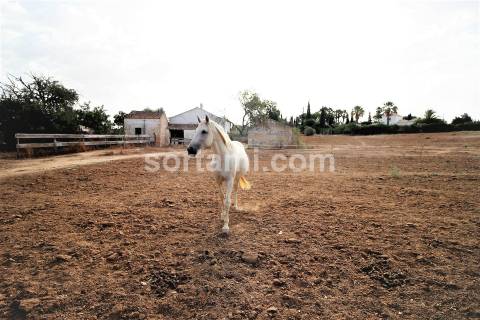 Moradia Devoluta T3 Venda em Lagoa e Carvoeiro,Lagoa (Algarve)