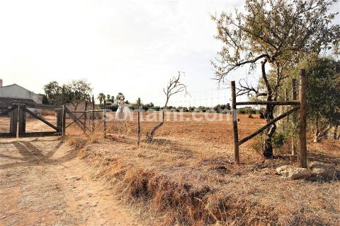 Moradia Devoluta T3 Venda em Lagoa e Carvoeiro,Lagoa (Algarve)