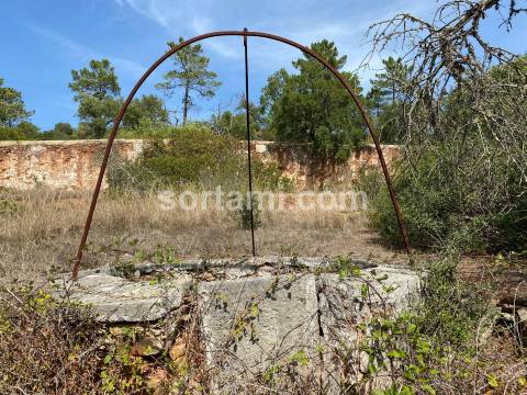 Moradia Devoluta T6 Venda em São Brás de Alportel,São Brás de Alportel